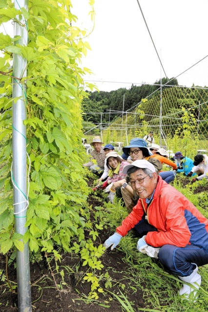 ホップ畑の草抜きに取り組んだ江川地域の住民と「はりまグリーンラボ」のメンバー＝佐用町仁方