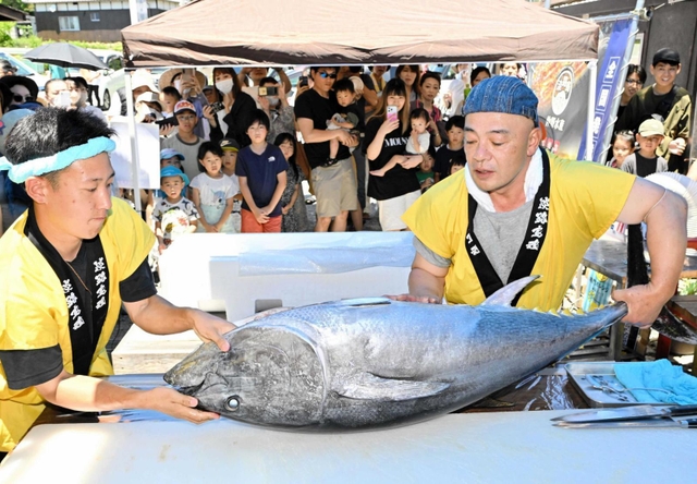 大勢の来場者を前に開かれたマグロ解体ショー＝淡路島仲野水産