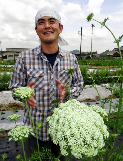 種採り用に残したニンジンの株から咲く白い花と神崎一馬さん＝姫路市香寺町行重