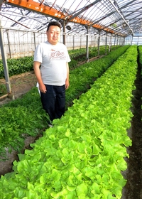 ミズナなどの葉もの野菜を栽培しながら中播磨野菜出荷組合の組合長を務める児島匡さん＝姫路市飾磨区妻鹿
