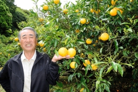 「親から引き継いだ貴重な財産。新たな価値を見つけて残していきたい」と話す高栄幸雄さん＝淡路市大谷
