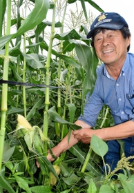 大きく実ったスイートコーンを手にする藤本喜郎さん＝神戸市北区大沢町日西原
