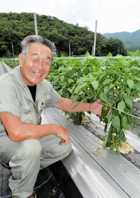 「もっと多くを届けられる産地にしたい」と話すＪＡたじまピーマン協議会の霜倉和典会長＝豊岡市但東町中山