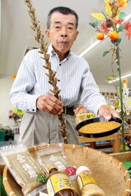 金ゴマの加工品を前に、実と茎を持つ森井哲夫さん＝西脇市西田町、ふれすこ西脇店