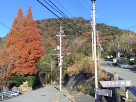 紅葉の裏六甲。「二代目はクリスチャン」の撮影ではオープンセットが組まれた＝芦屋市