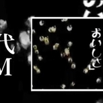 植垣米菓のホームページで紹介されているＣＭの一場面。鴬ボールがはじけ飛ぶ（同社提供）