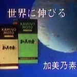 世界戦略を示すコピー（加美乃素本舗提供）