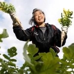 少量多品目の野菜を育てる「元農園（チアファーム）」の浅川元子さん＝神戸市西区平野町西戸田（撮影・吉田敦史）