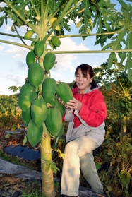 大きく育ったパパイアを手にする湊友加さん＝丹波篠山市垣屋