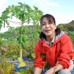 黒く色づき始めた丹波黒のさやを手にする湊友加さん。奥には大きく育ったパパイアの実も＝丹波篠山市垣屋