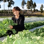 「寒さに当たり、甘みが一層増しておいしいですよ」とレタスを手にする西田美福さん＝淡路市小田