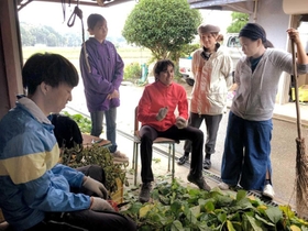 特産品の黒枝豆やヤマノイモの農作業を手伝う留学生ら＝篠山市岡野地区