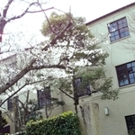 関西学院大西宮上ケ原キャンパス正門前の桜