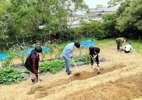 野菜の栽培に挑戦している学生＝神戸市西区伊川谷町