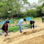 野菜の栽培に挑戦している学生＝神戸市西区伊川谷町