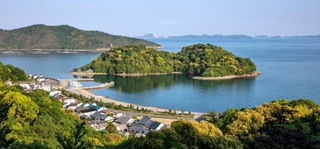 坂越のシンボル生島の眺め。手つかずの原生林は初夏のこの時期がもっとも美しいという＝赤穂市坂越（撮影・三津山朋彦）