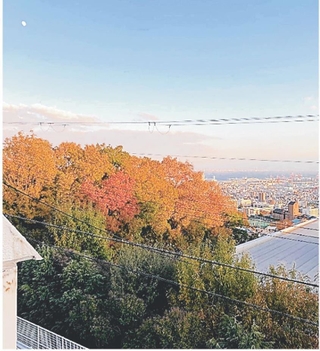 猫森の紅葉が光る瞬間、東の空には白い月