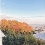猫森の紅葉が光る瞬間、東の空には白い月