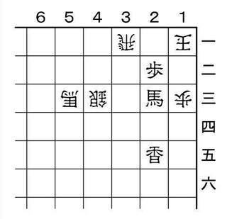 1月20日の必至問題