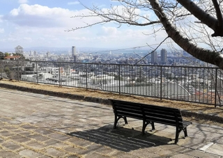 ケイコ（桃井かおり）が神戸の風景を眺めた灘丸山公園。大阪湾から神戸港が一望できる＝神戸市灘区「ふたりの旅路」