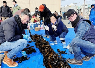 ワカメの収穫を楽しむマルコさん（手前左）。手前右は神戸市在住のイタリア人アーティスト・ファビオさん、文子さんご夫妻