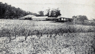 大正２年時点の百々園（「実地踏査須磨舞子明石古蹟名勝史」１９１３年刊より、筆者提供）