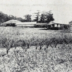 大正２年時点の百々園（「実地踏査須磨舞子明石古蹟名勝史」１９１３年刊より、筆者提供）