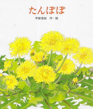 「たんぽぽ」作・絵：甲斐信枝（金の星社、１４３０円）