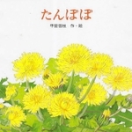 「たんぽぽ」作・絵：甲斐信枝（金の星社、１４３０円）