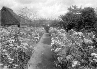 大正元年秋に撮影された秋錦園（百耕資料館・提供）