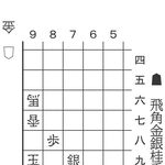 5月17日「合駒の妙」