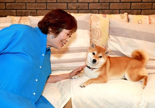 愛犬の豆柴すーちゃんと＝大阪府内（撮影・笠原次郎）