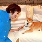 愛犬の豆柴すーちゃんと＝大阪府内（撮影・笠原次郎）