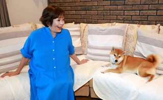 上沼恵美子さんと愛犬すーちゃん。実は夫の真平さんに心を許している？＝大阪府内（撮影・笠原次郎）