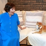 上沼恵美子さんと愛犬すーちゃん。実は夫の真平さんに心を許している？＝大阪府内（撮影・笠原次郎）