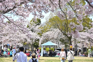 年々歳々。時は移ろい、季節は巡る＝神戸市北区（撮影・大田将之）