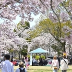 年々歳々。時は移ろい、季節は巡る＝神戸市北区（撮影・大田将之）