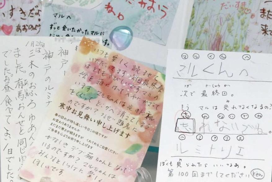 かなしきデブ猫ちゃん | 神戸新聞NEXT