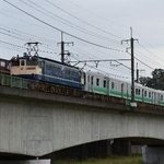 　電気機関車に引かれ多摩川を渡るＨＢ-Ｅ２２０系（２０２４年１０月）