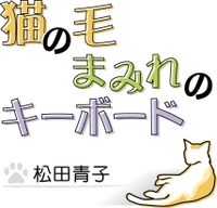 猫の毛まみれのキーボード