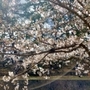 無事に帰国がかなった喜びをしみじみ味わう