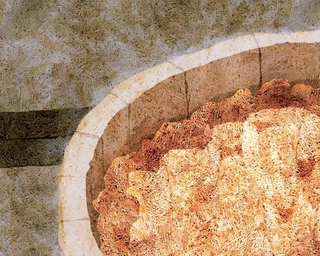 ヤマモトマサアキ・画