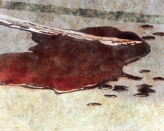 ヤマモトマサアキ・画