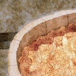 ヤマモトマサアキ・画