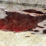 ヤマモトマサアキ・画