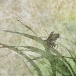 ヤマモトマサアキ・画
