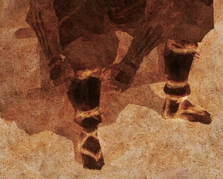 ヤマモトマサアキ・画