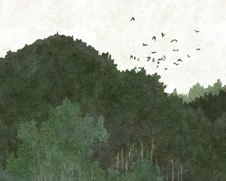 ヤマモトマサアキ・画