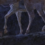 ヤマモトマサアキ・画