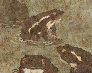 ヤマモトマサアキ・画